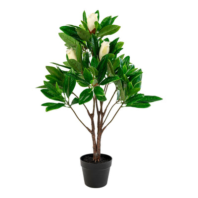 Se Magnoliatræ - Kunstig Træ, Grøn, 90 Cm ❤ Stort online udvalg i HouseNordic ❤ Hurtig levering: 1 - 2 Hverdage samt billig fragt ❤ Varenummer: BBM-45560911298837 og barcode / Ean: '5713917004508 på lager - Udsalg på Nyheder, Plante, Populære produkter Spar op til 63% - Over 324 kendte brands på udsalg