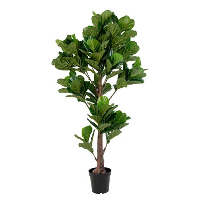 Se Fiddle Violinfigen - Kunstig Plante, Grøn, 190 Cm ❤ Stort online udvalg i HouseNordic ❤ Hurtig levering: 1 - 2 Hverdage samt billig fragt ❤ Varenummer: BBM-45560748015893 og barcode / Ean: '5713917004522 på lager - Udsalg på Nyheder, Plante, Populære produkter Spar op til 56% - Over 324 kendte brands på udsalg