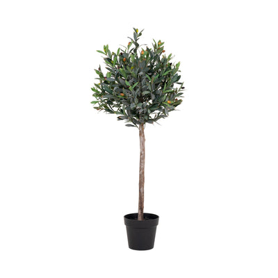 Se Oliventræ - Kunstigt Plante, Grøn, 120 Cm ✔ Kæmpe udvalg i  HouseNordic ✔ Hurtig levering: 1 - 2 Hverdage samt billig fragt - Varenummer: BBM-45560969363733 og barcode / Ean: '5713917004539 på lager - Udsalg på Nyheder, Plante, Populære produkter Spar op til 52% - Over 1347 kendte brands på udsalg