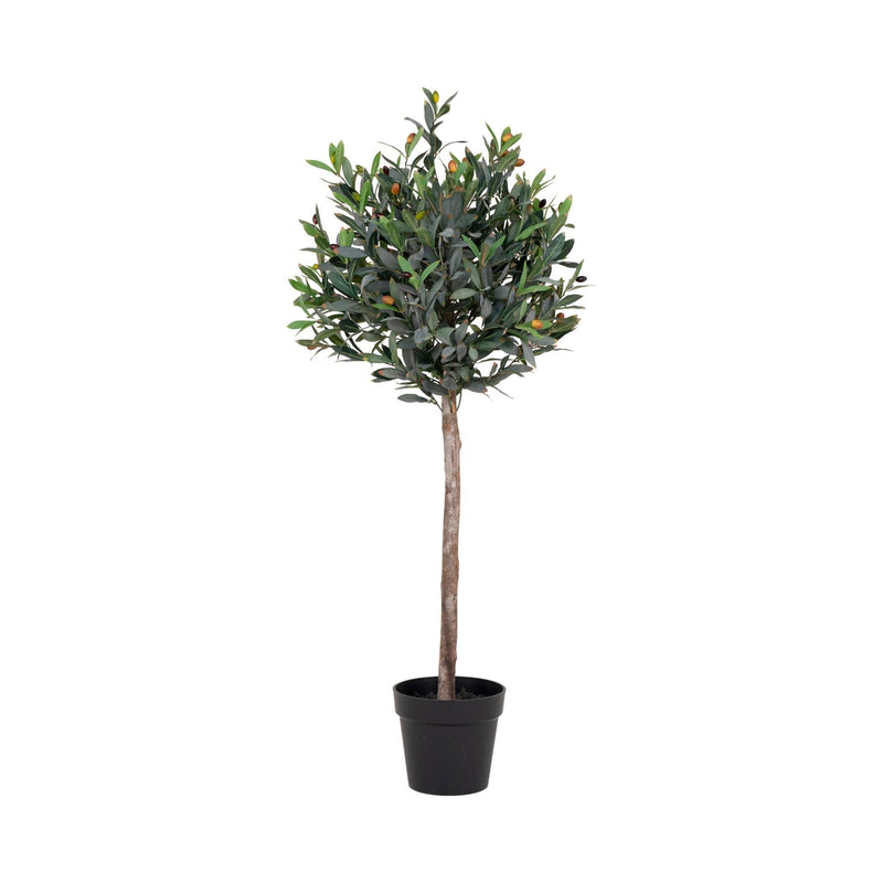 Se Oliventræ - Kunstigt Plante, Grøn, 120 Cm ✔ Kæmpe udvalg i  HouseNordic ✔ Hurtig levering: 1 - 2 Hverdage samt billig fragt - Varenummer: BBM-45560969363733 og barcode / Ean: &
