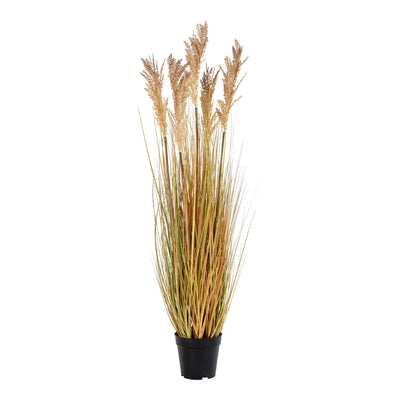 Se Sorghum Grass - Kunstig Plante, Natur, 110 Cm ❤ Stort online udvalg i HouseNordic ❤ Hurtig levering: 1 - 2 Hverdage samt billig fragt ❤ Varenummer: BBM-45561020940565 og barcode / Ean: '5713917008766 på lager - Udsalg på Nyheder, Plante, Populære produkter Spar op til 59% - Over 312 kendte brands på udsalg