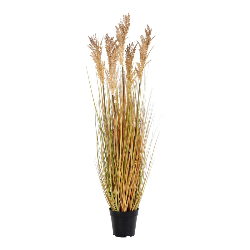 Se Sorghum Grass - Kunstig Plante, Natur, 110 Cm ❤ Stort online udvalg i HouseNordic ❤ Hurtig levering: 1 - 2 Hverdage samt billig fragt ❤ Varenummer: BBM-45561020940565 og barcode / Ean: &