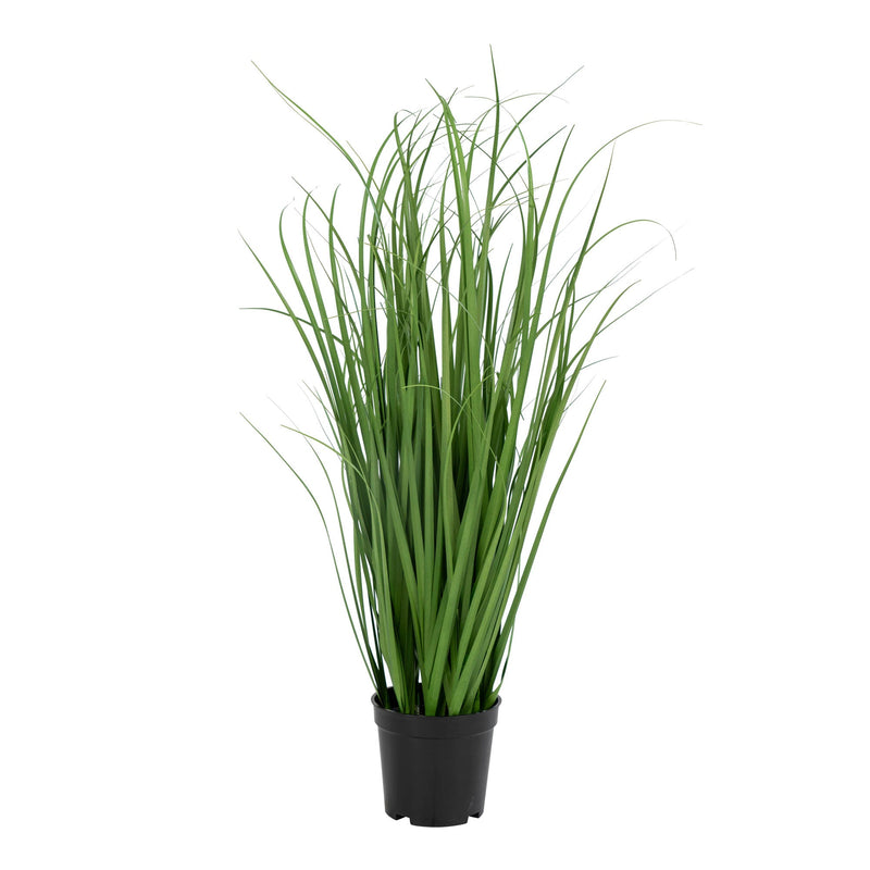 Se Poa Græs - Kunstig Poa Græs, Grøn, 68 Cm ❤ Stort online udvalg i HouseNordic ❤ Hurtig levering: 1 - 2 Hverdage samt billig fragt ❤ Varenummer: BBM-45560984961301 og barcode / Ean: &