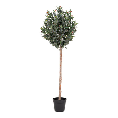 Se Oliventræ - Kunstig Plante, Grøn, 150 Cm ✔ Kæmpe udvalg i  HouseNordic ✔ Hurtig levering: 1 - 2 Hverdage samt billig fragt - Varenummer: BBM-45560969167125 og barcode / Ean: '5713917014873 på lager - Udsalg på Nyheder, Plante, Populære produkter Spar op til 53% - Over 1347 kendte brands på udsalg