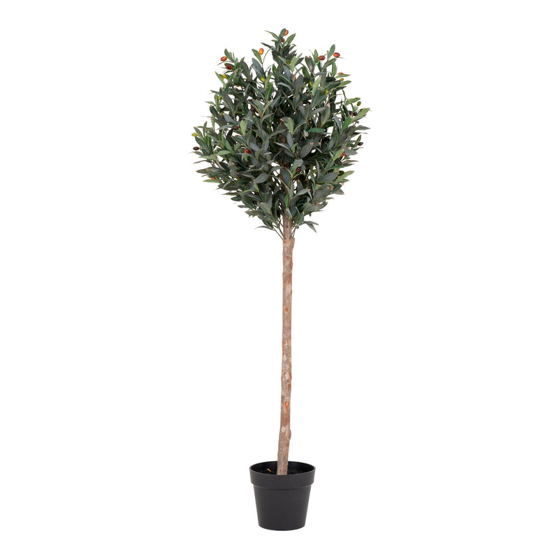 Se Oliventræ - Kunstig Plante, Grøn, 150 Cm ✔ Kæmpe udvalg i  HouseNordic ✔ Hurtig levering: 1 - 2 Hverdage samt billig fragt - Varenummer: BBM-45560969167125 og barcode / Ean: &