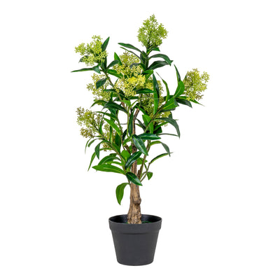 Se Skimmia Træ - Kunstig Plante, Grøn, 75 Cm ❤ Stort online udvalg i HouseNordic ❤ Hurtig levering: 1 - 2 Hverdage samt billig fragt ❤ Varenummer: BBM-45561019891989 og barcode / Ean: '5713917022595 på lager - Udsalg på Nyheder, Plante, Populære produkter Spar op til 62% - Over 312 kendte brands på udsalg