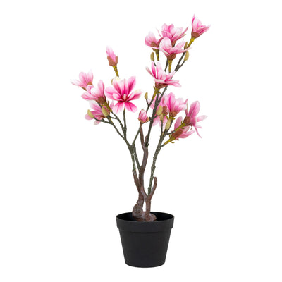 Se Magnoliatræ - Kunstig Plante, Rosa, 75 Cm ❤ Stort online udvalg i HouseNordic ❤ Hurtig levering: 1 - 2 Hverdage samt billig fragt ❤ Varenummer: BBM-45560910676245 og barcode / Ean: '5713917022601 på lager - Udsalg på Nyheder, Plante, Populære produkter Spar op til 64% - Over 324 kendte brands på udsalg