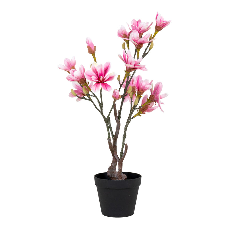 Se Magnoliatræ - Kunstig Plante, Rosa, 75 Cm ❤ Stort online udvalg i HouseNordic ❤ Hurtig levering: 1 - 2 Hverdage samt billig fragt ❤ Varenummer: BBM-45560910676245 og barcode / Ean: &