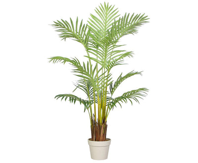 Se Areca palme 140 cm med 15 palmeblade ❤ Stort online udvalg i Designhome ❤ Hurtig levering: 1 - 2 Hverdage samt billig fragt ❤ Varenummer: DHE-9786 og barcode / Ean: på lager - Udsalg på Kunstige træer Spar op til 58% - Over 454 design mærker på udsalg