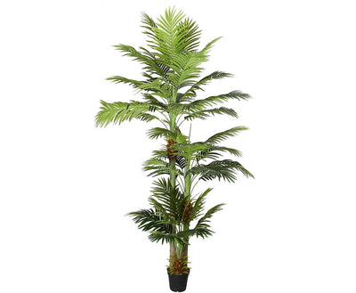 Se Areca palme 290 cm med 41 palmeblade ❤ Stort online udvalg i Designhome ❤ Hurtig levering: 1 - 2 Hverdage samt billig fragt ❤ Varenummer: DHE-9803 og barcode / Ean: på lager - Udsalg på Kunstige træer Spar op til 62% - Over 454 design mærker på udsalg