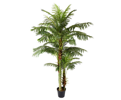 Se Areca palme 235 cm med 45 palmeblade ❤ Stort online udvalg i Designhome ❤ Hurtig levering: 1 - 2 Hverdage samt billig fragt ❤ Varenummer: DHE-9780 og barcode / Ean: på lager - Udsalg på Kunstige træer Spar op til 57% - Over 454 design mærker på udsalg