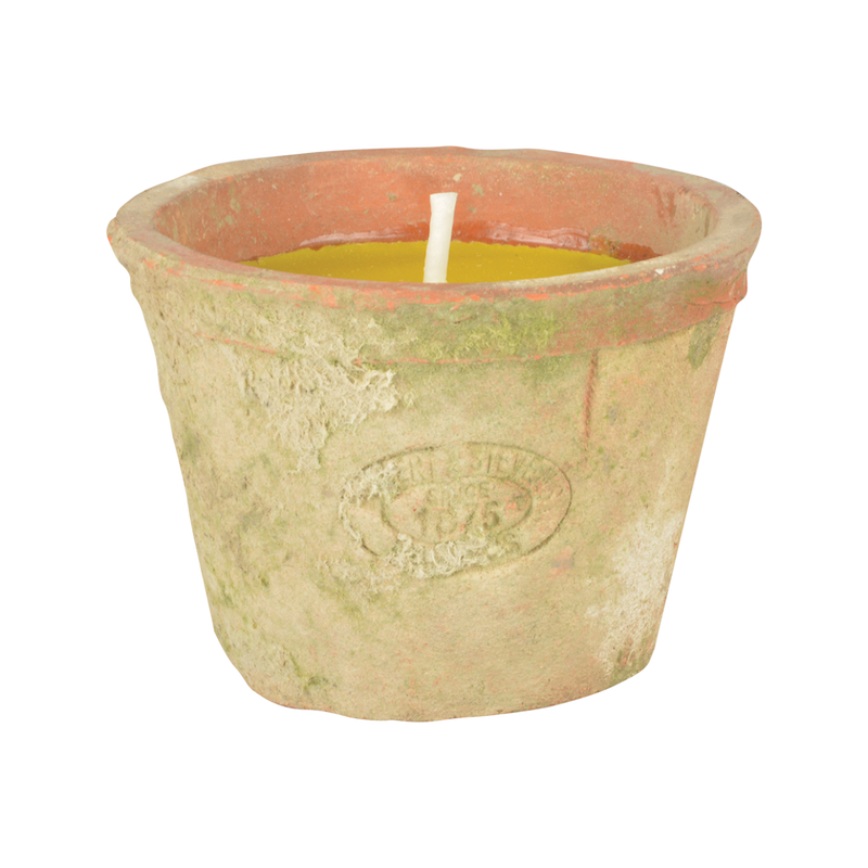 Se Esschert Design - Citronella lys mod insekter i terracotta krukke ❤ Stort online udvalg i Esschert Design ❤ Hurtig levering: 1 - 2 Hverdage samt billig fragt ❤ Varenummer: BGH-42882506916092 og barcode / Ean: &