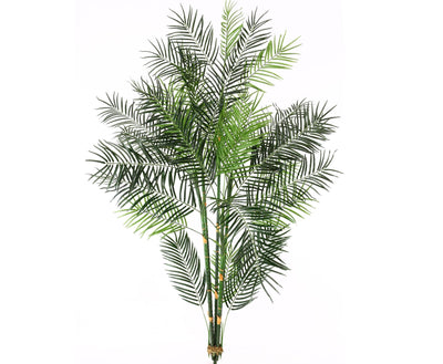 Se Areca palme 135 cm med 15 palmeblade ❤ Stort online udvalg i Designhome ❤ Hurtig levering: 1 - 2 Hverdage samt billig fragt ❤ Varenummer: DHE-11665 og barcode / Ean: på lager - Udsalg på Kunstige træer Spar op til 67% - Over 454 design mærker på udsalg
