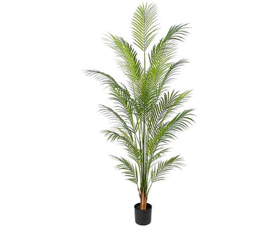 Se Areca palme 150 cm med 14 palmeblade ❤ Stort online udvalg i Designhome ❤ Hurtig levering: 1 - 2 Hverdage samt billig fragt ❤ Varenummer: DHE-9776 og barcode / Ean: på lager - Udsalg på Kunstige træer Spar op til 56% - Over 454 design mærker på udsalg