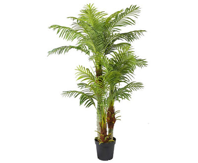 Se Areca palme 180 cm med 30 palmeblade ❤ Stort online udvalg i Designhome ❤ Hurtig levering: 1 - 2 Hverdage samt billig fragt ❤ Varenummer: DHE-9744 og barcode / Ean: på lager - Udsalg på Kunstige træer Spar op til 53% - Over 454 design mærker på udsalg