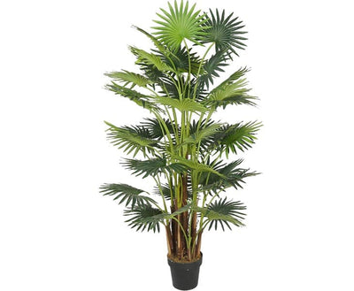 Se Areca palme 160 cm med 41 palmeblade ❤ Stort online udvalg i Designhome ❤ Hurtig levering: 1 - 2 Hverdage samt billig fragt ❤ Varenummer: DHE-9709 og barcode / Ean: på lager - Udsalg på Kunstige træer Spar op til 65% - Over 454 design mærker på udsalg