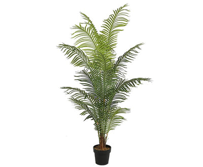 Se Areca palme 200 cm med 14 palmeblade ❤ Stort online udvalg i Designhome ❤ Hurtig levering: 1 - 2 Hverdage samt billig fragt ❤ Varenummer: DHE-9737 og barcode / Ean: på lager - Udsalg på Kunstige træer Spar op til 52% - Over 454 design mærker på udsalg