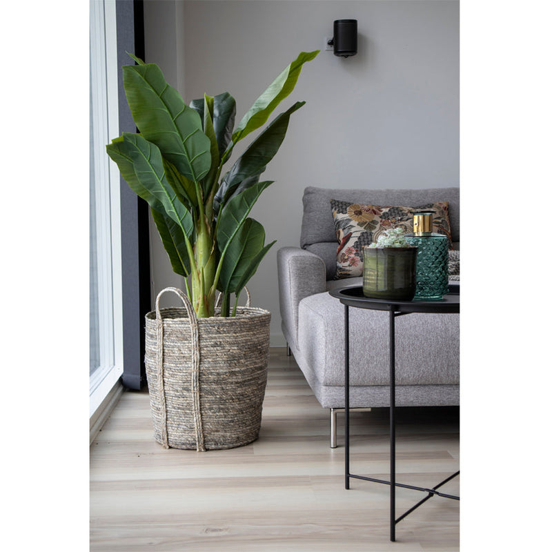 Se Banan Palme - Kunstig plante H160 cm ❤ Stort online udvalg i House Nordic ❤ Hurtig levering: 1 - 2 Hverdage samt billig fragt ❤ Varenummer: BGH-42135256662268 og barcode / Ean: &