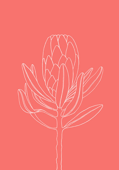 Se Blomst koral af Ten Valleys ❤ Stort online udvalg i Ten Valleys ❤ Hurtig levering: 1 - 2 Hverdage samt billig fragt ❤ Varenummer: ILL-14745 og barcode / Ean: på lager - Udsalg på Illux Art shop - Grafisk kunst - Ten Valleys - Illustration - Natur - Blomster Spar op til 55% - Over 454 design mærker på udsalg