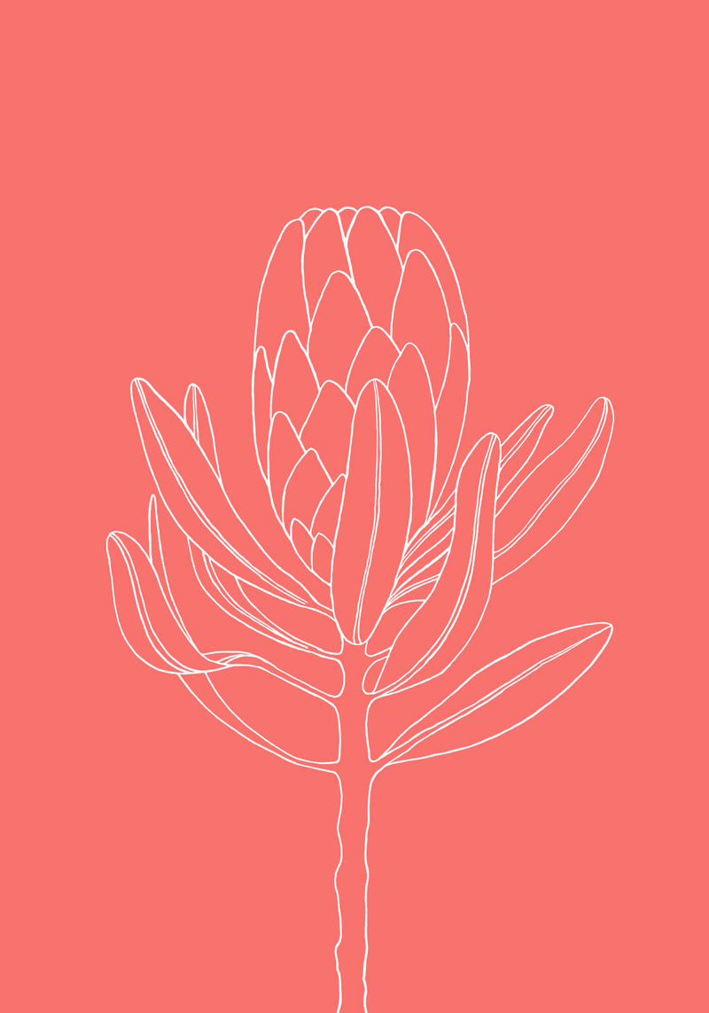 Se Blomst koral af Ten Valleys ❤ Stort online udvalg i Ten Valleys ❤ Hurtig levering: 1 - 2 Hverdage samt billig fragt ❤ Varenummer: ILL-14745 og barcode / Ean: på lager - Udsalg på Illux Art shop - Grafisk kunst - Ten Valleys - Illustration - Natur - Blomster Spar op til 55% - Over 454 design mærker på udsalg