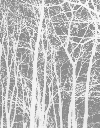 Se Cherrytree grey af Kirsten Stigsgaard ❤ Stort online udvalg i Kirsten Stigsgaard ❤ Hurtig levering: 1 - 2 Hverdage samt billig fragt ❤ Varenummer: ILL-12152 og barcode / Ean: på lager - Udsalg på Illux Art shop - Fotokunst - Kirsten Stigsgaard - Natur - Sort-hvid fotokunst - Natur fotokunst - Skov Spar op til 67% - Over 434 design brands på udsalg