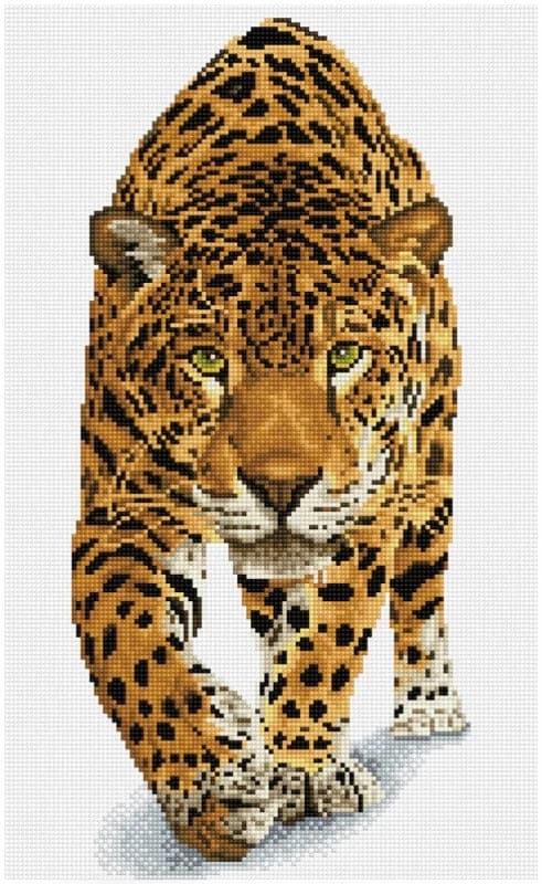 Se Diamond Dotz Squares 52 x 32 cm - Leopard ✔ Kæmpe udvalg i  Diamond Dotz ✔ Hurtig levering: 1 - 2 Hverdage samt billig fragt - Varenummer: MMA-212090 og barcode / Ean: &