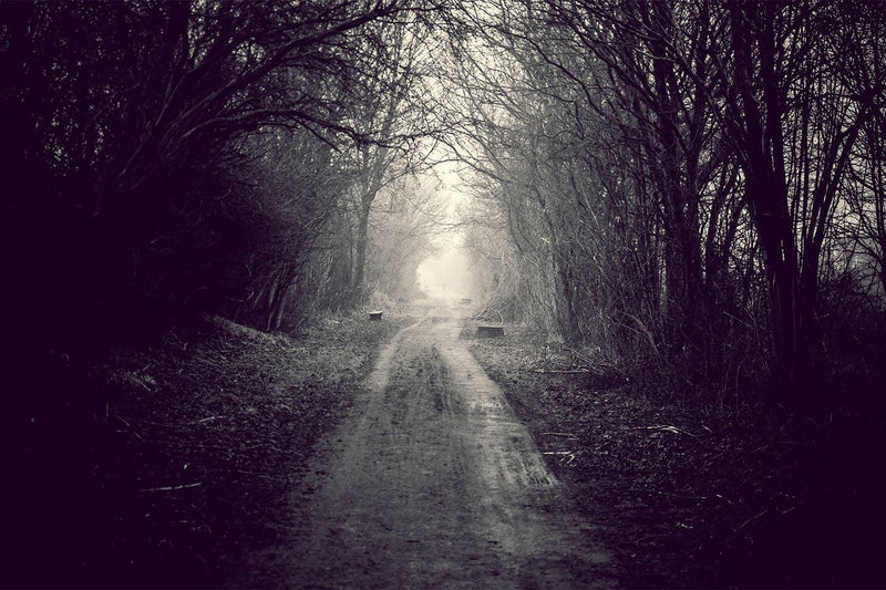 Se Foggy path af Henrik Hansen ❤ Stort online udvalg i Henrik Hansen ❤ Hurtig levering: 1 - 2 Hverdage samt billig fragt ❤ Varenummer: ILL-15405 og barcode / Ean: på lager - Udsalg på Henrik Hansen Spar op til 63% - Over 400 kendte brands på udsalg