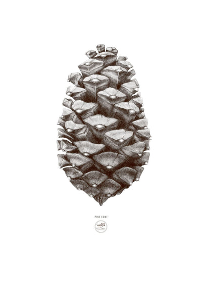 Se Hvid kogle af Ten Valleys ❤ Stort online udvalg i Ten Valleys ❤ Hurtig levering: 1 - 2 Hverdage samt billig fragt ❤ Varenummer: ILL-14765 og barcode / Ean: på lager - Udsalg på Illux Art shop - Grafisk kunst - Ten Valleys - Sort-hvid - Natur Spar op til 54% - Over 454 design mærker på udsalg