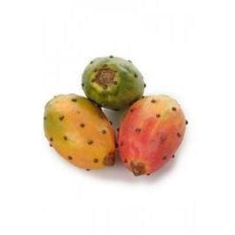 Kunstig Kaktusfrugt 9 cm. 1 stk - Køb online nu