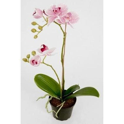 Kunstig Orkideer Phalaenopsis 45 cm. - Køb online nu
