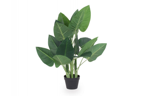 Se Kunstig plante - 88 cm ❤ Stort online udvalg i KopK ❤ Hurtig levering: 1 - 2 Hverdage samt billig fragt ❤ Varenummer: HML-DK1684 og barcode / Ean: &