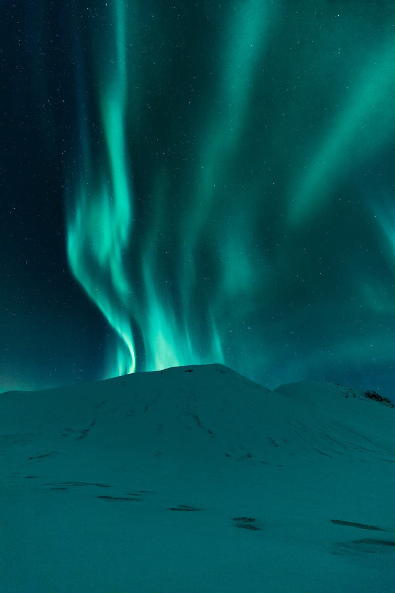 Se Mountain Fire af Mikkel Beiter ❤ Stort online udvalg i Mikkel Beiter ❤ Hurtig levering: 1 - 2 Hverdage samt billig fragt ❤ Varenummer: ILL-13965 og barcode / Ean: på lager - Udsalg på Illux Art shop - Fotokunst - Mikkel Beiter - Natur - Natur fotokunst Spar op til 65% - Over 434 design brands på udsalg