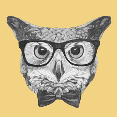 Se Ordinary Owl af Illux ❤ Stort online udvalg i Illux ❤ Hurtig levering: 1 - 2 Hverdage samt billig fragt ❤ Varenummer: ILL-13379 og barcode / Ean: på lager - Udsalg på Illux Art shop - Kids Art - Illux Kids Spar op til 63% - Over 434 design brands på udsalg