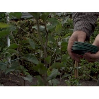 Se Komplet opbindingsgrej til hækplantning 5 m. 2 pæle ø5 150 cm. 20 m. 3,5mm. tråd ❤ Stort online udvalg i Plantetorvet ❤ Hurtig levering: 1 - 2 Hverdage samt billig fragt - Varenummer: PTT-37676 og barcode / Ean: på lager - Udsalg på Opbindingsmateriale > Opbinding til Hækplanter Spar op til 61% - Over 454 kendte mærker på udsalg