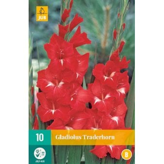 Se Gladiolus 'Traderhorn' ❤ Stort online udvalg i Plantetorvet ❤ Hurtig levering: 1 - 2 Hverdage samt billig fragt - Varenummer: PTT-91027 og barcode / Ean: på lager - Udsalg på Blomsterløg > Gladiolus Spar op til 64% - Over 424 kendte brands på udsalg