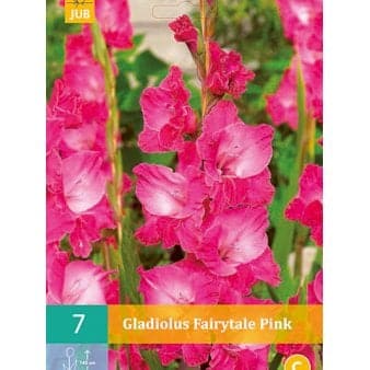 Se Gladiolus 'Fairytale Pink' ❤ Stort online udvalg i Plantetorvet ❤ Hurtig levering: 1 - 2 Hverdage samt billig fragt - Varenummer: PTT-78858 og barcode / Ean: på lager - Udsalg på Blomsterløg > Gladiolus Spar op til 66% - Over 454 design mærker på udsalg