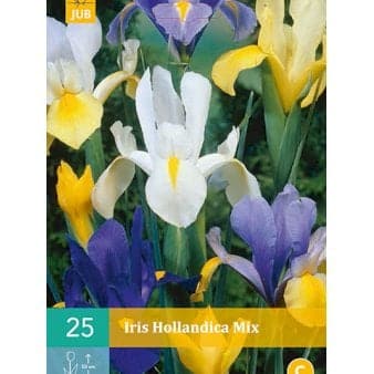 Se Hollandsk Iris Mix ❤ Stort online udvalg i Plantetorvet ❤ Hurtig levering: 1 - 2 Hverdage samt billig fragt - Varenummer: PTT-78908 og barcode / Ean: på lager - Udsalg på Blomsterløg > Iris Spar op til 53% - Over 454 design mærker på udsalg