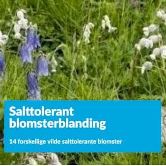 Se Salttolerant blomsterblanding 1 kg. pose ❤ Stort online udvalg i Plantetorvet ❤ Hurtig levering: 1 - 2 Hverdage samt billig fragt - Varenummer: PTT-79778 og barcode / Ean: på lager - Udsalg på Vildfrø > Frø til eng og natur Spar op til 66% - Over 350 kendte brands på udsalg