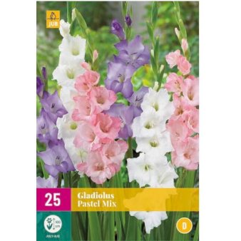 Se Gladiolus 'Pastel Mix' XXL ❤ Stort online udvalg i Plantetorvet ❤ Hurtig levering: 1 - 2 Hverdage samt billig fragt - Varenummer: PTT-87370 og barcode / Ean: på lager - Udsalg på Blomsterløg > Gladiolus Spar op til 67% - Over 454 kendte brands på udsalg