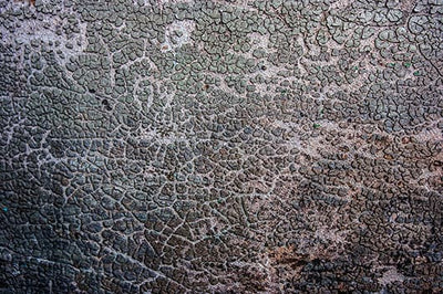 Se Past times wall af Kirsten Stigsgaard ❤ Stort online udvalg i Kirsten Stigsgaard ❤ Hurtig levering: 1 - 2 Hverdage samt billig fragt ❤ Varenummer: ILL-14219 og barcode / Ean: på lager - Udsalg på Illux Art shop - Fotokunst - Kirsten Stigsgaard Spar op til 59% - Over 454 design brands på udsalg
