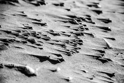 Se Sand Sails af Andreas M rck ❤ Stort online udvalg i Andreas M rck ❤ Hurtig levering: 1 - 2 Hverdage samt billig fragt ❤ Varenummer: ILL-13747 og barcode / Ean: på lager - Udsalg på Illux Art shop - Fotokunst - Andreas M rck - Sort-hvid - Natur - Sort-hvid fotokunst - Natur fotokunst Spar op til 51% - Over 434 design brands på udsalg