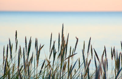 Se Summer beach af Kirsten Stigsgaard ❤ Stort online udvalg i Kirsten Stigsgaard ❤ Hurtig levering: 1 - 2 Hverdage samt billig fragt ❤ Varenummer: ILL-12150 og barcode / Ean: på lager - Udsalg på Illux Art shop - Fotokunst - Kirsten Stigsgaard - Natur - Natur fotokunst - Hav og strand Spar op til 51% - Over 434 design brands på udsalg