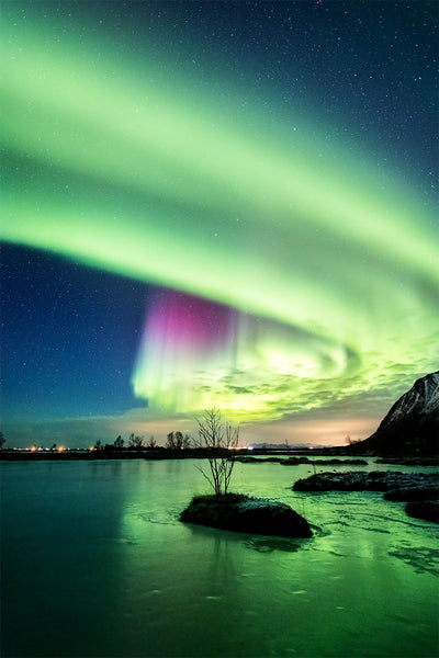 Se The tree in the lake af Frank Olsen ❤ Stort online udvalg i Frank Olsen ❤ Hurtig levering: 1 - 2 Hverdage samt billig fragt ❤ Varenummer: ILL-15375 og barcode / Ean: på lager - Udsalg på Illux Art shop - Fotokunst - Frank Olsen - Natur - Natur fotokunst - Landskab - Hav og strand Spar op til 61% - Over 400 kendte brands på udsalg